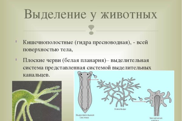 Какой нужен тор чтоб зайти в кракен