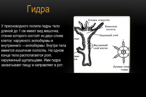 Ссылка кракен cc