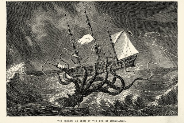 Kraken 20at